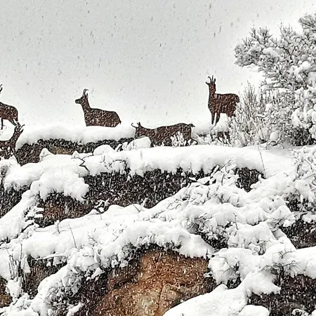 Vistas Al Sarrio * Benasque