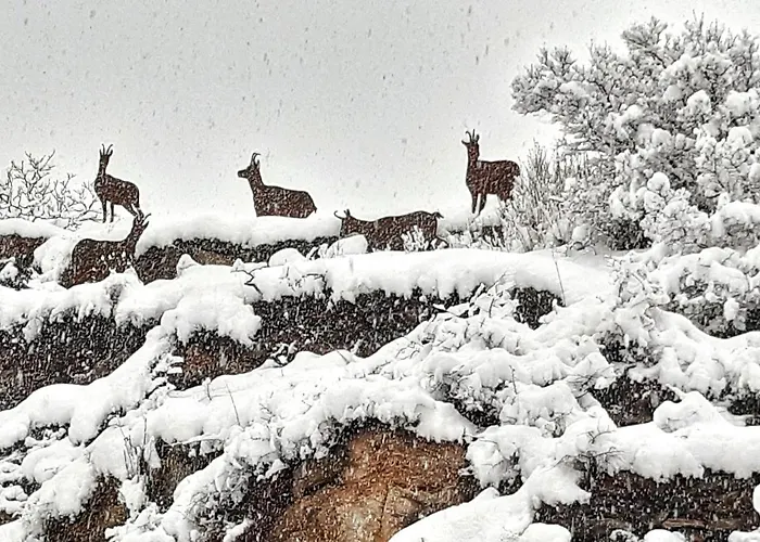 Vistas Al Sarrio * 贝纳斯克