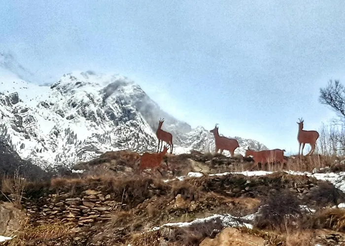 公寓 Vistas Al Sarrio 贝纳斯克